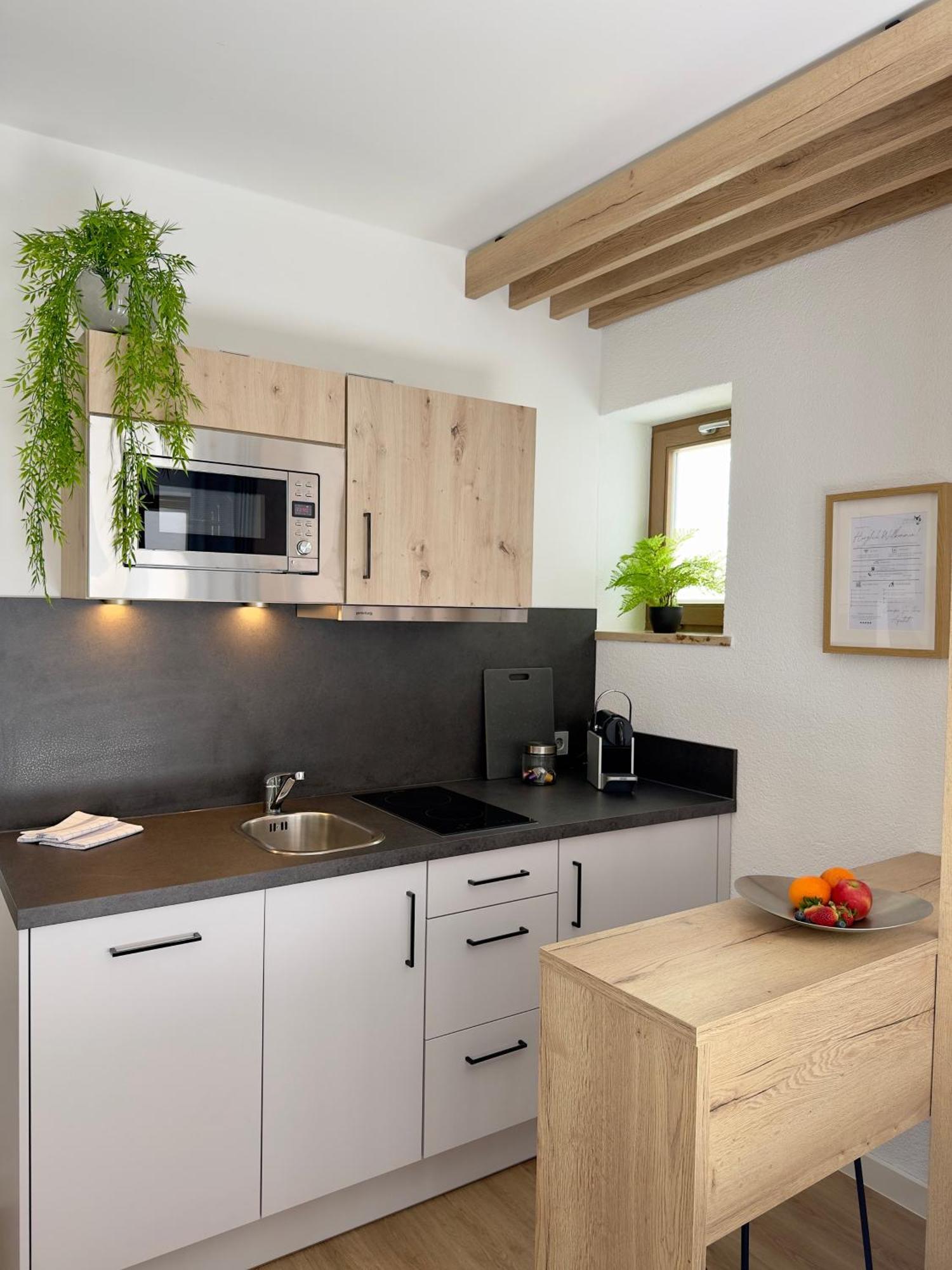 Living & Serviced Apartments By Blauer Wolf Gunzenhausen Exterior photo